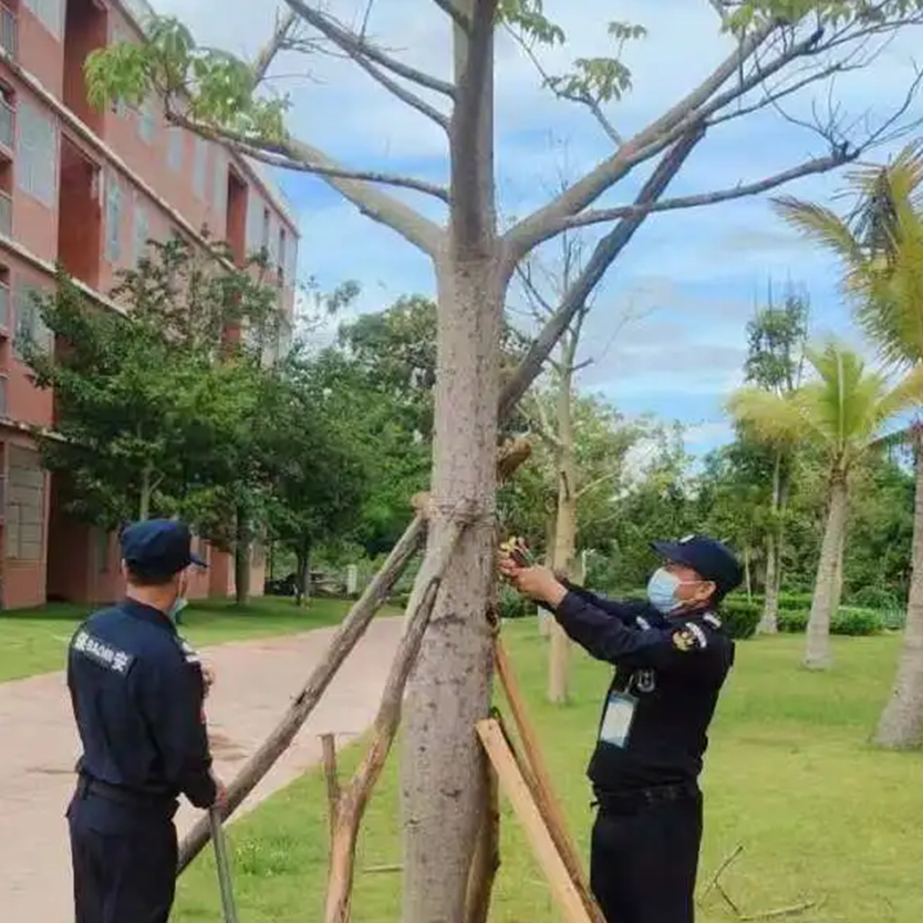 聞“風”而動，全力以“復(fù)” | 災(zāi)后重建，百雀人在行動